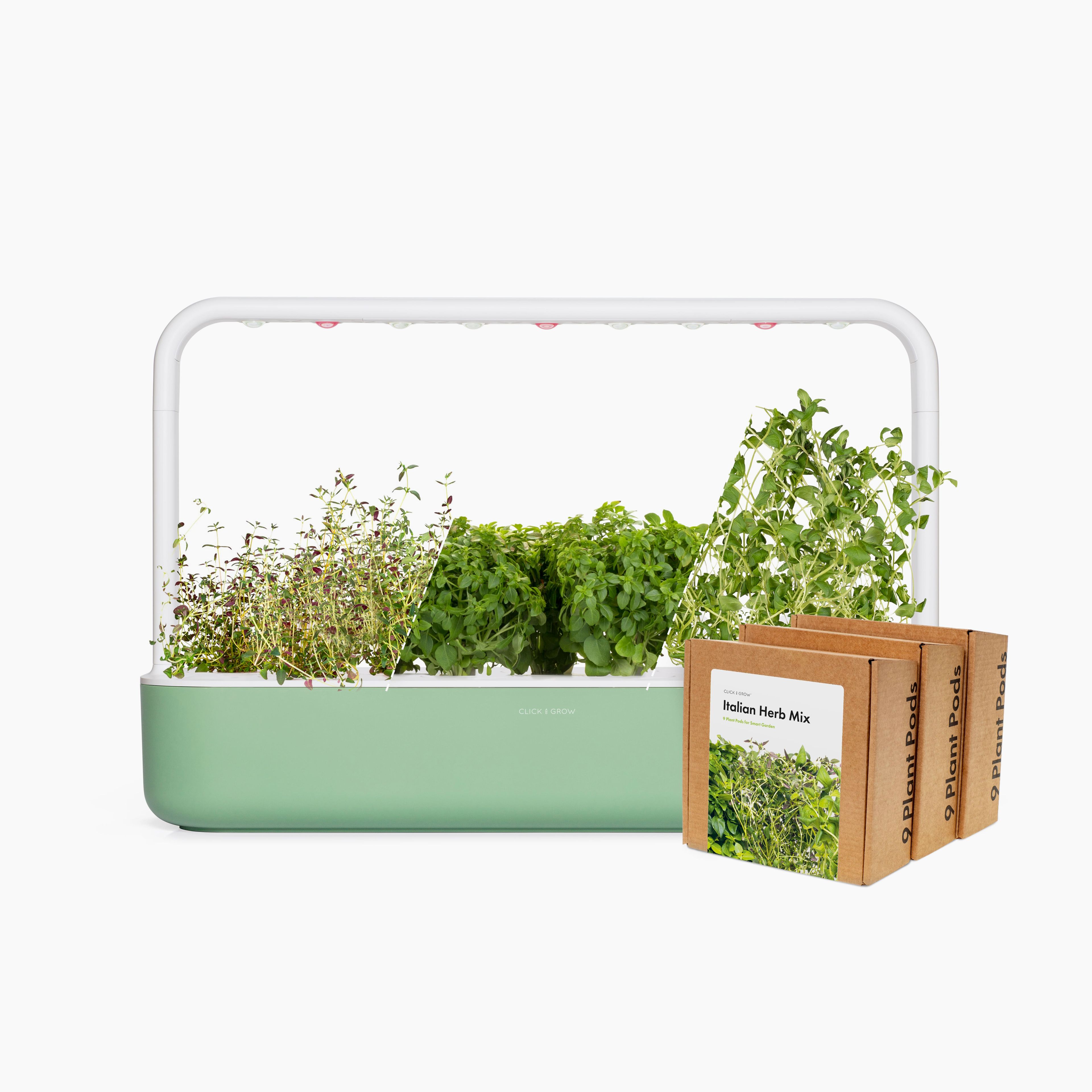 Big "Italian Herb" Kit Limited Edition