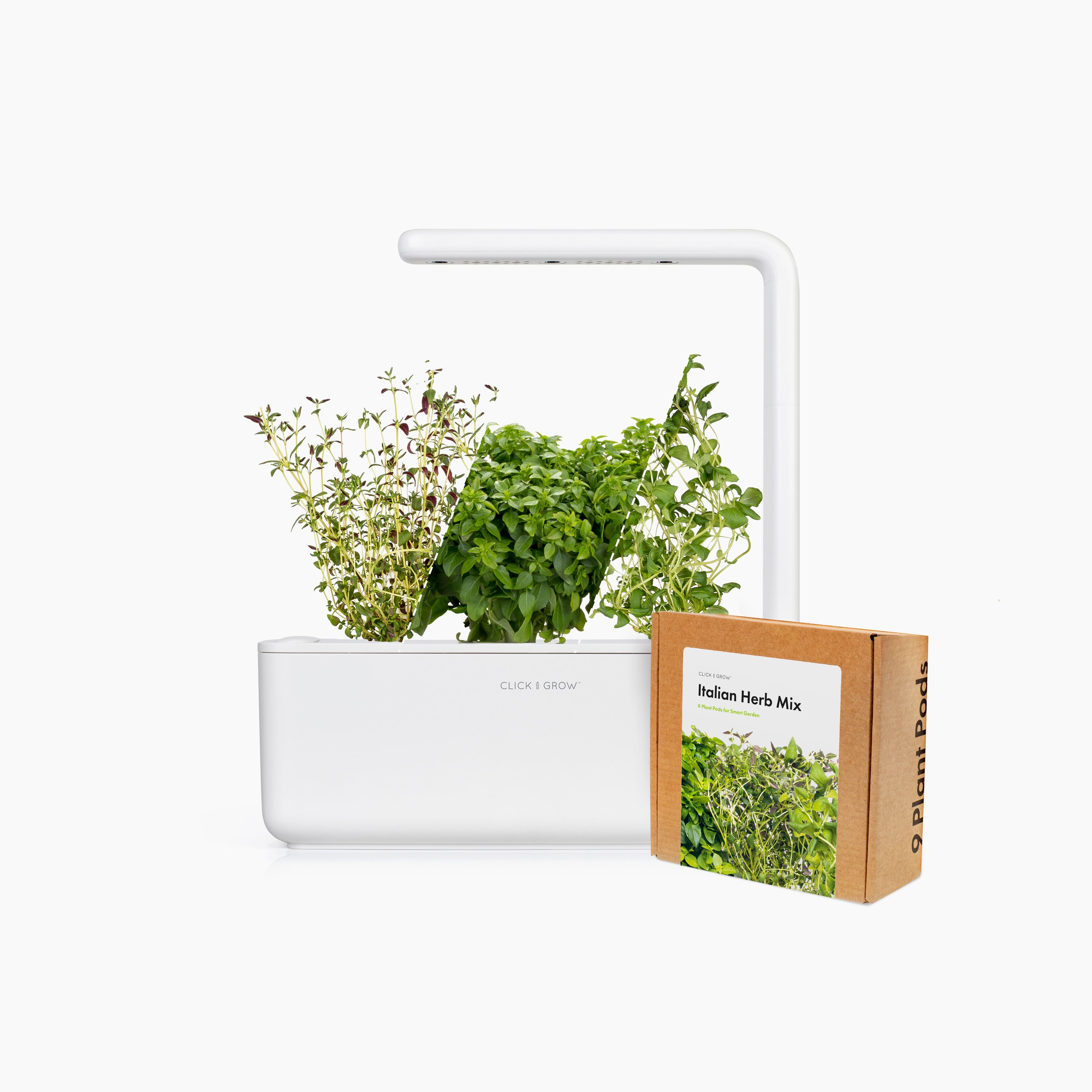 Small "Italian Herb" Kit