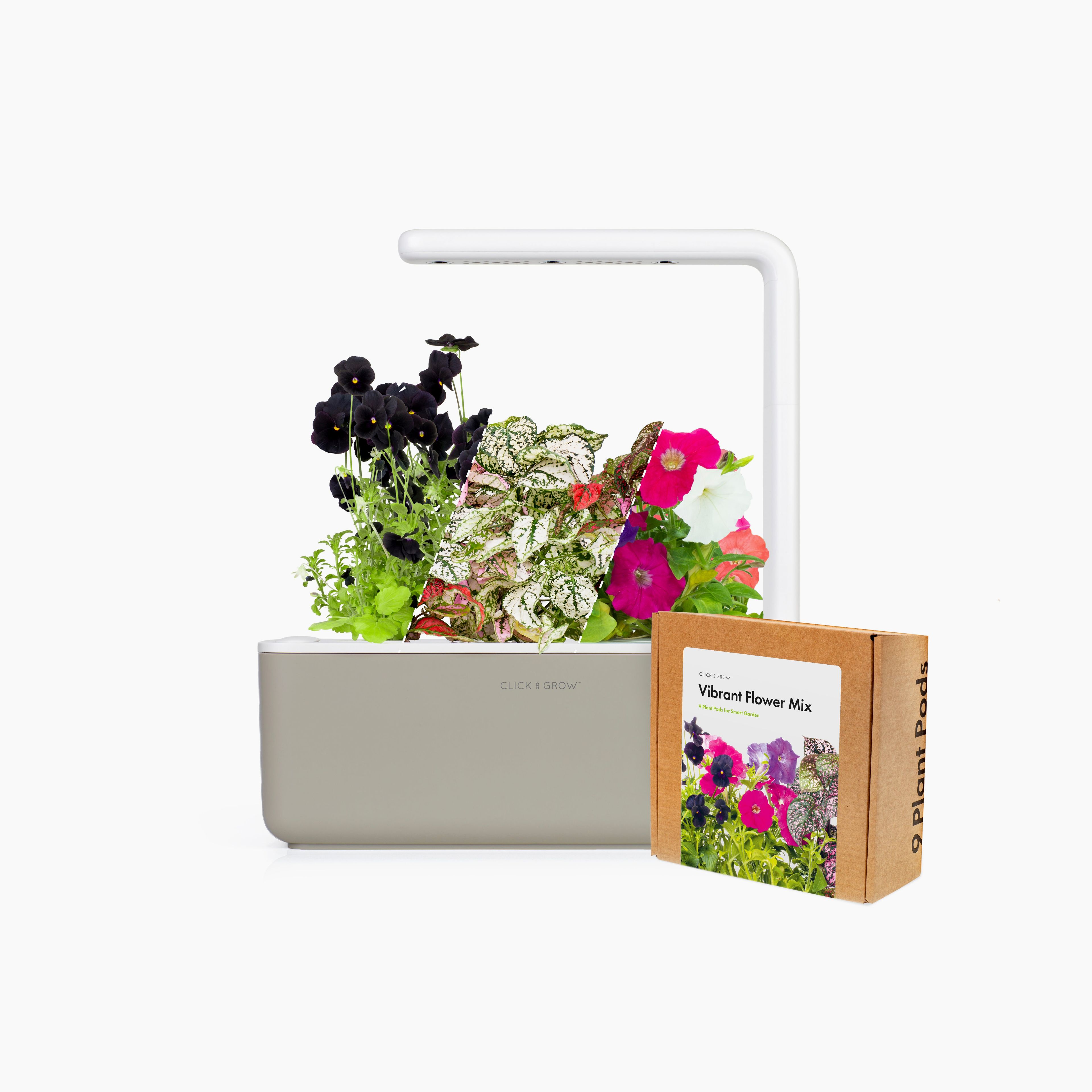 Small "Vibrant Flower" Kit