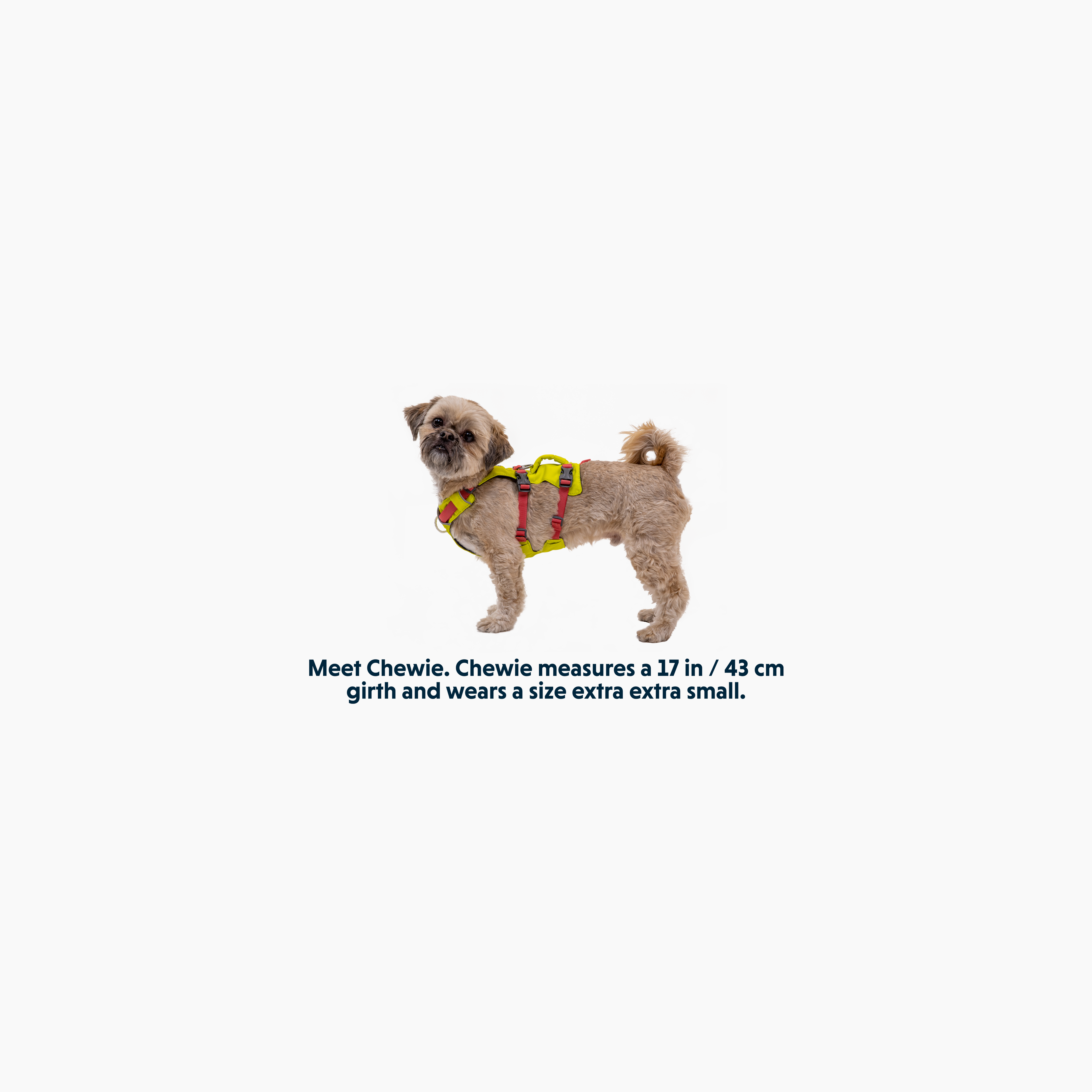 Flagline Dog Harness with Handle