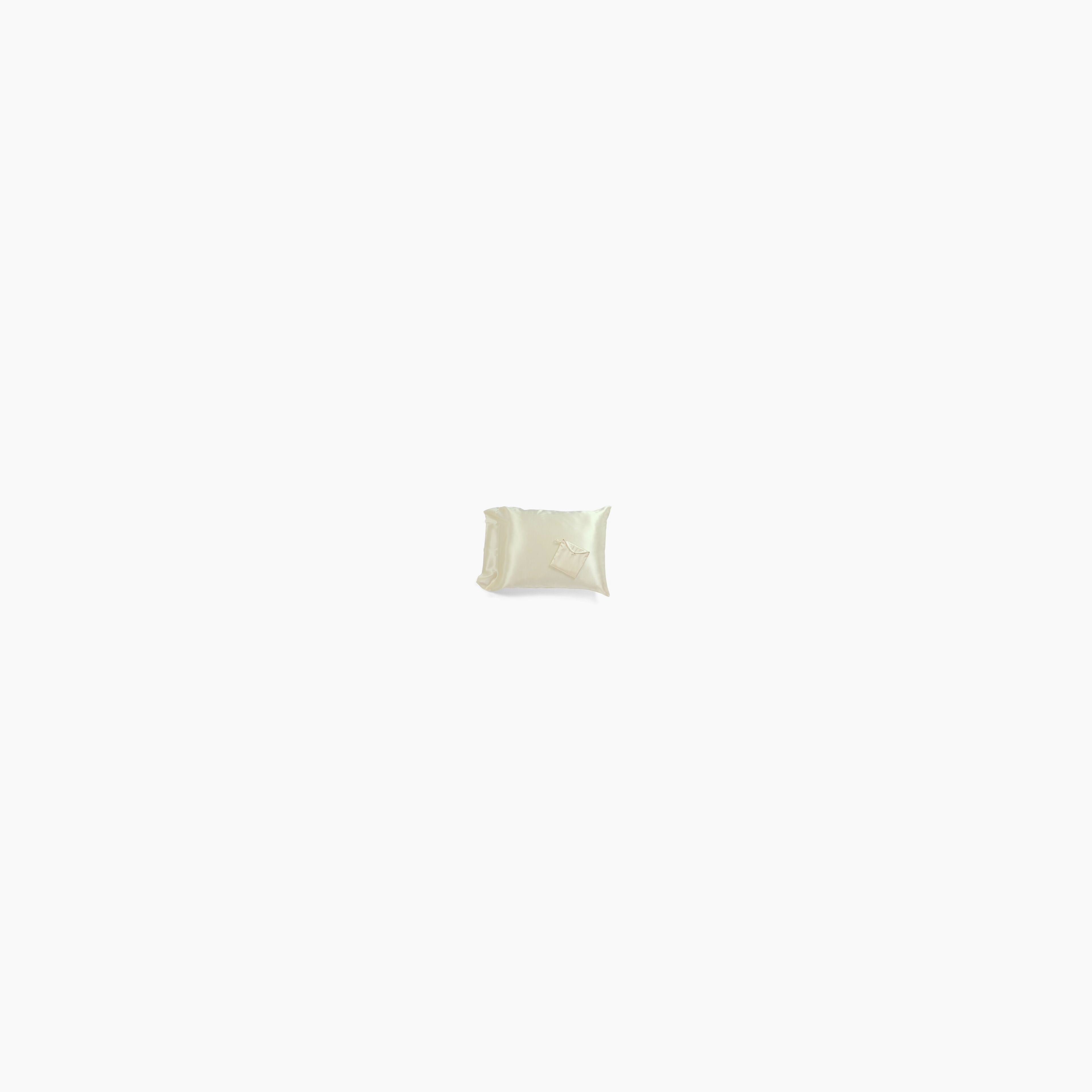 Charmeuse Silk Pillowcase in a Silk Envelope
