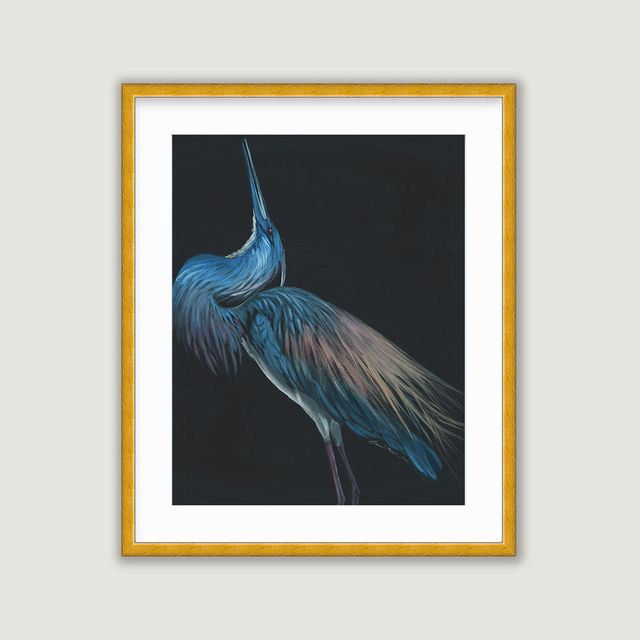 Tricolored Heron Posing - Watercolor Original