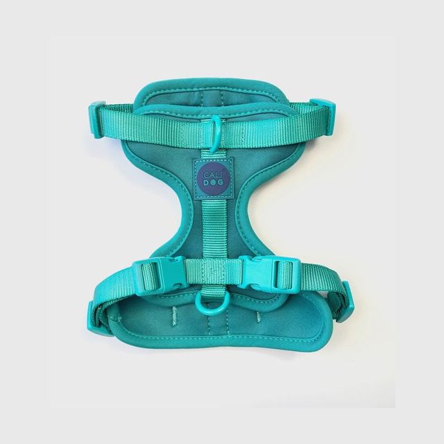Aquamarine CaliDog Waterproof Harness and Leash Set