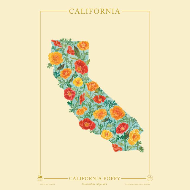 California Native Botanicals Print