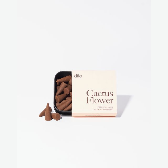 Cactus Flower Incense Cones by dilo