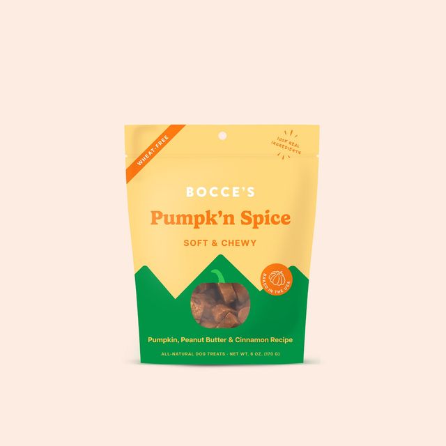 Pumpkn Spice Soft & Chewy Treats