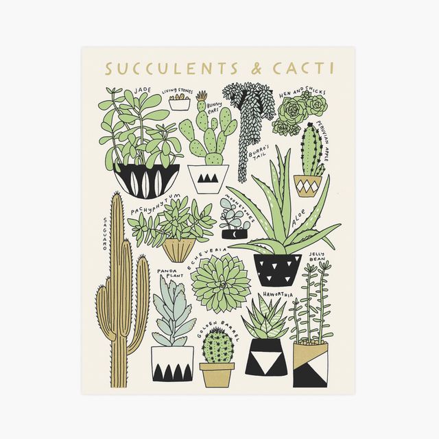Succulents & Cacti 11x14 Botanical Screen Print