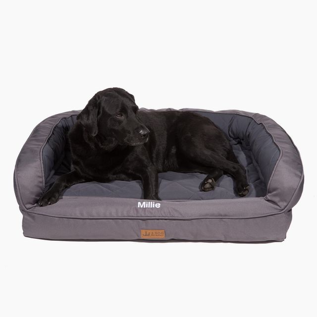 EZ-Wash Softshell Headrest Memory Foam Dog Bed
