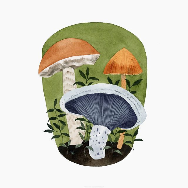 Mushrooms Print