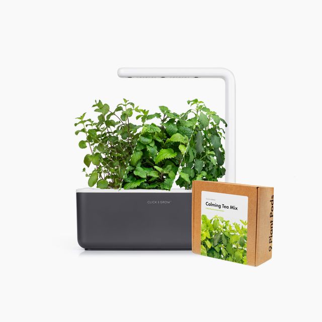 Small "Herbal Tea" Kit