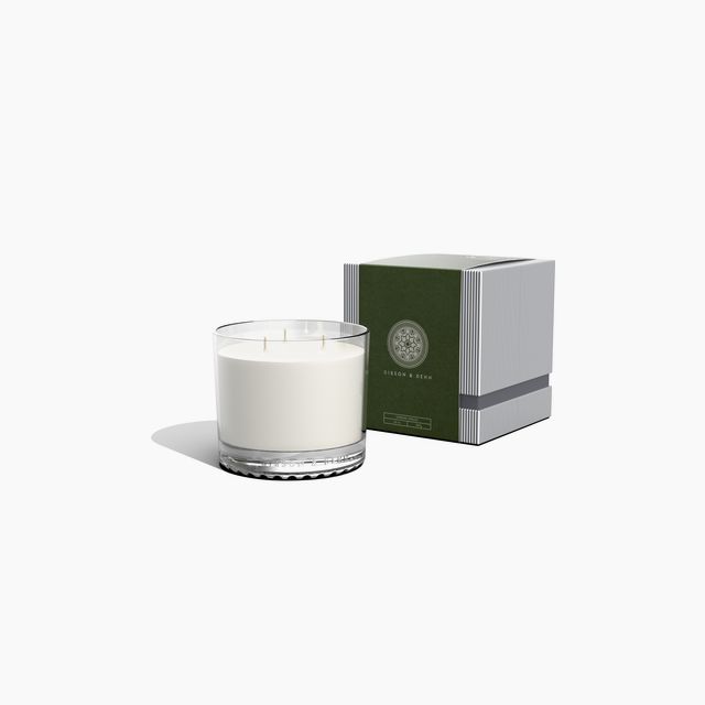 NORWAY SPRUCE | Three Wick Candle