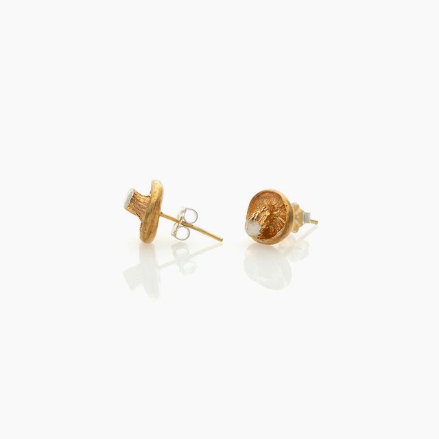 Golden Oyster Fungi Earrings