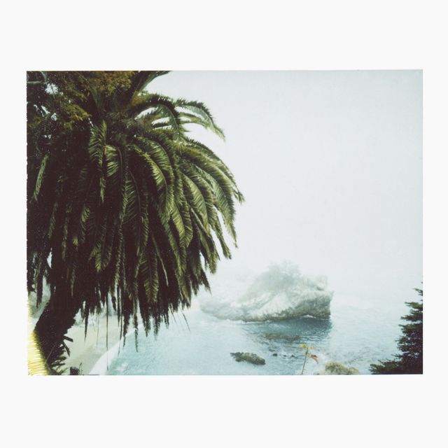 A Deep Breath Of Beach And Fog (California)