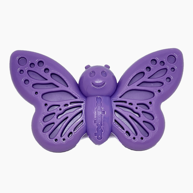 Butterfly Durable Nylon Chew and Enrichment Toy