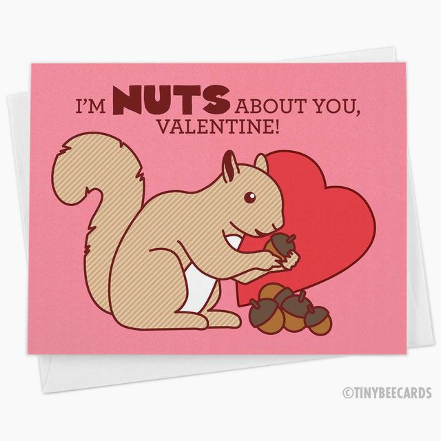 Cute Valentine Card "Nuts About You"